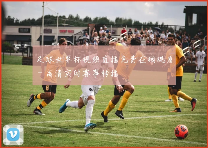 足球世界杯视频直播免费在线观看 - 高清实时赛事转播