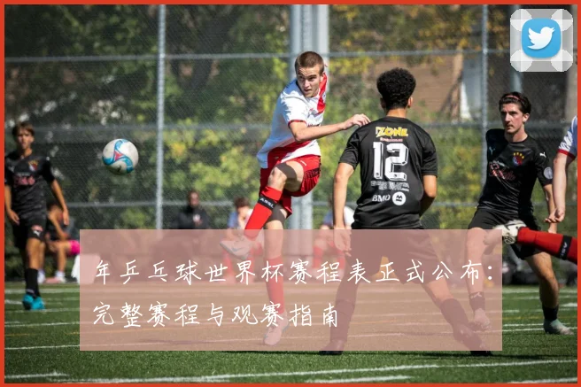 年乒乓球世界杯赛程表正式公布：完整赛程与观赛指南